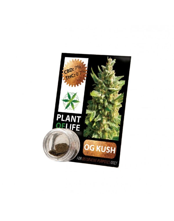 CBD COMPRESS OG KUSH 3,8%