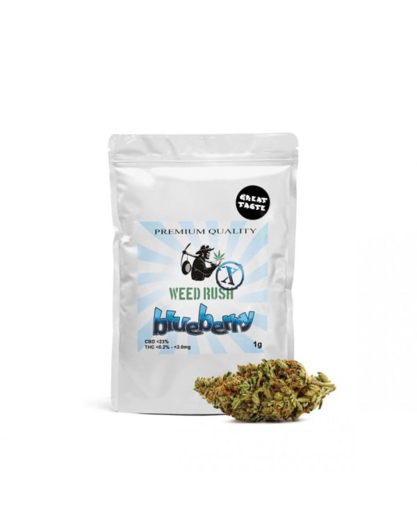 Weed Rush - Blueberry CBD Flowers 1gr