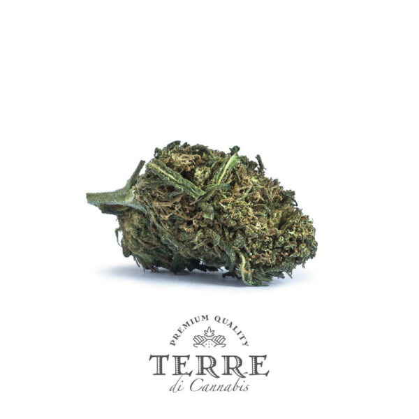 Terre Di Cannabis Fatale CBG - 2gr. - bud's photo - 3