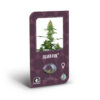 Sensi Seeds | Feminized Seeds - Silver Fire inner package new 2021