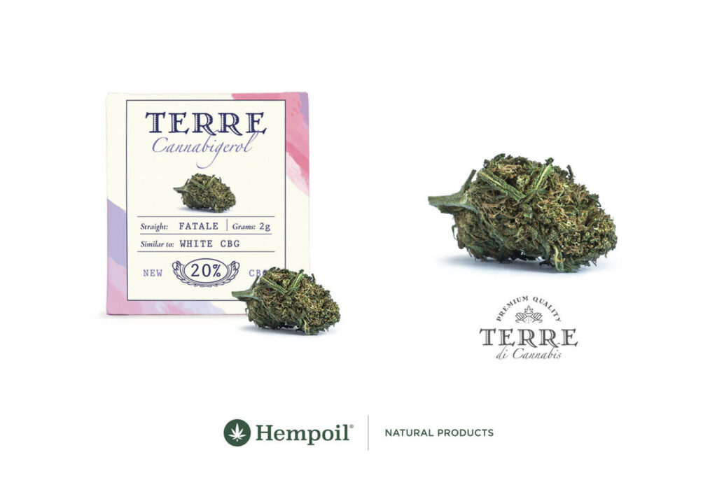 Organic Cannabis Flower by Terre Di Cannabis with CBG Cannabigerol