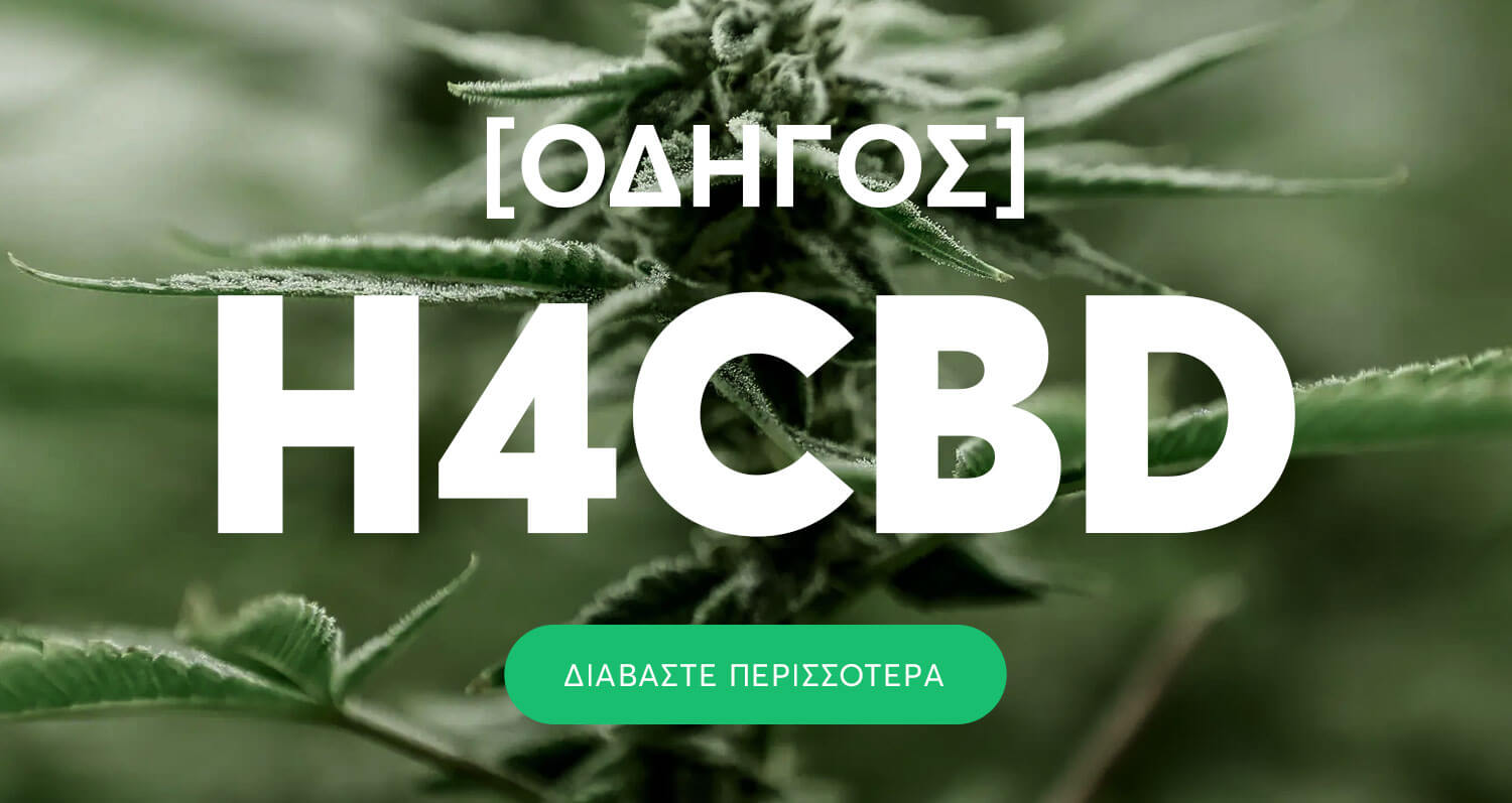 H4CBD - Διαβάστε τον οδηγό χρήσης.