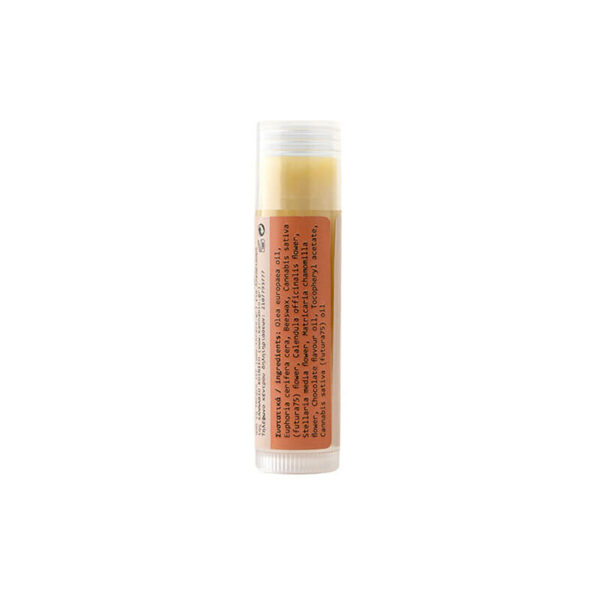 Lip balm for lips with CBD cannabidiol with cocoa flavor.