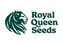 Royal Queen Seeds